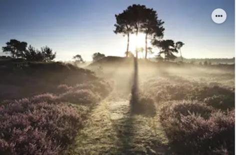 Vila Park Konijnenburg Putten Exteriér fotografie