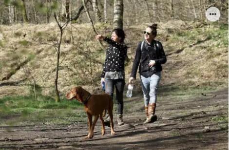 Vila Park Konijnenburg Putten Exteriér fotografie